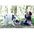 thumbnail image 2 of Asobu BOUTEILLE CHIEN, 2 of 2