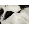 thumbnail image 2 of TAPIS KOBE EN PEAU DE VACHE 6' X 7', 2 of 2