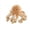 Brown, variant on EQWLJWE Plush Toys Stuffed Animals,Adorable Fluffy Plush Stuffed Animal,Colorful Toy Armed Jellyfish Soft Stuffed Baby Soft Doll Gift