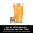 thumbnail image 4 of Gouttes d'eau aromatisée Ninja Thirsti, éclat avec essence de fruit non sucrée, orange mandarine, zéro calorie, zéro sucre, zéro édulcorant, 2,23 oz liq., pour préparer 20 boissons de 12 oz, WCFOTG1C, 4 of 6