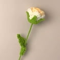 thumbnail image 2 of TopLLC Knitted Roses Hand Woven Rose Simulation Yarn Knitted Bouquet Floral Decoration Gift on Clearance, 2 of 2