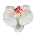 thumbnail image 1 of 10pcs Imitation Decorative Phalaenopsis Realistic Design Fake Flowers for Wedding Centerpieces Decoration, 1 of 2