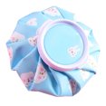 thumbnail image 4 of Ice Bag Mini Cute Cartoon Floral Printed Cold Hot Use Ice Pack Bag for Home Summer Type 3, 4 of 12