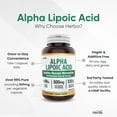 thumbnail image 4 of Herba Alpha Lipoic Acid 600mg – 120 Vegetable Capsules | >99% Ultra Pure | Blood Sugar Support Supplement | Made in Canada, 4 of 9