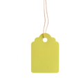 thumbnail image 4 of Khall Marqueur de Plante 300pcs Réutilisables Imperméable PVC Plante Étiquette Plantes de Jardin Étiquette Suspendue Marqueur de Fleur 3.6x2.5cm, Étiquette de Plante, 4 of 8