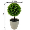 thumbnail image 3 of Mainstays 9.5" Indoor Artificial Plant in Pot, Green Color Boxwood., 3 of 5