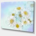 thumbnail image 2 of White Gerbera Flowers on Light Blue - Large Floral Canvas Artwork, 2 of 4