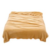 Rbaofujie Throw Blanket for Couch Coral Fleece Single Bed Blanket - Lightweight Airconditioner Throw for All Seasons - Soft and Cozy Cover Or Mat Weighted Blanket