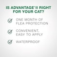 thumbnail image 2 of Advantage II traitement contre les puces pour chatons (2 un), 2 of 8