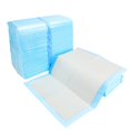 thumbnail image 3 of EIGTHTAIL 10 Waterproof Puppy Training Pads Bird Blue, 3 of 10