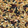 thumbnail image 3 of HARI Gourmet Premium Bird Seed Mix for Cockatiels, 1.13kg, 3 of 6
