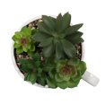 thumbnail image 4 of Macha Faux Green Succulent in White Pot, 4 of 4
