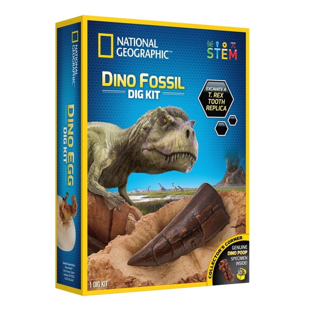 National Geographic Trousse de Fouille de Dinos avec une Réplique de Dent de T. rex Incrustée dans une Brique de Fouille, avec une illustration Détaillée de Dinosaure T. rex et un Paysage Préhistorique Incluant un Volcan et des Dinosaures Lointains, un Jouet Éducatif STEM pour 8 Ans et Plus.