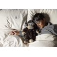 thumbnail image 1 of Warmies Heatable Microwavable Soft Toys Wheat Filled & Lavender Scented-QIUPING, 1 of 2
