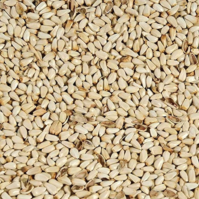 Graines de Carthame, 4 lb, Convenant aux Cardinaux, aux Sittelles et aux Mésanges. Les Petites Graines Blanches à Coquille Fine Sont Montrées en Gros Plan, Mettant en Valeur Leur texture et Leur Taille Uniforme. Idéales pour une Utilisation dans Tout Mangeoire Qui Accueille des Graines de Tournesol, Ces Graines Sont Aussi Efficaces pour Décourager les Écureuils et les Grils.