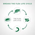 thumbnail image 3 of Advantage II Flea Treatment for Small Dogs (2 doses), 3 of 7