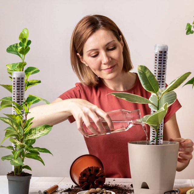 1 Ensemble de Bâtons d'Escalade pour Plantes Réutilisables Empilables pour Jardin Maison