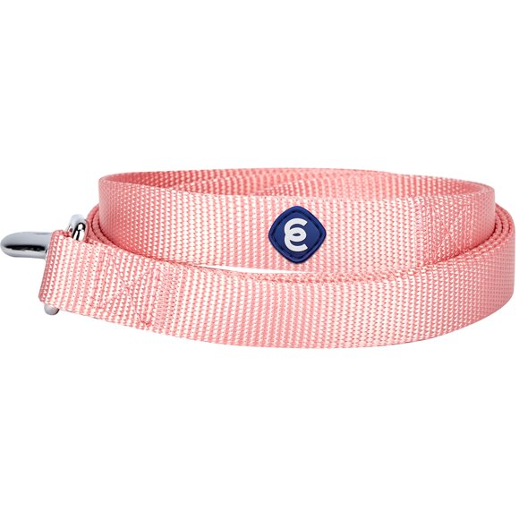 Blueberry Pet Essentials 21 Colors Durable Classic Dog Leash 4 ft x 1"" Baby Pink Large Basic Nylon Leashes for Dogs