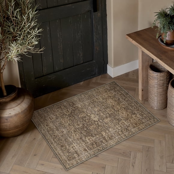 BERTHMEER 2'x3' Small Area Rugs for Doorway Kitchen Laundry Bedroom Entryway Dorm Entrance Office Washable Non Slip Indoor Rugs Oriental Vintage Traditional Doormats, Brown