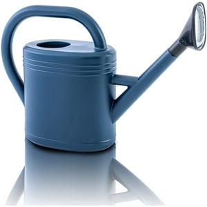 TAIWO Watering Can 3L Green Plastic with Detachable Sprinkler Head