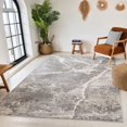 thumbnail image 1 of Rug Branch Jules Modern Indoor Area Rug, Grey Beige, Marble - Living Room, Bedroom, Dining Room, and Kitchen, 1 of 5