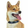 thumbnail image 1 of Zubaz NFL Team Adjustable Pet Collar for Dogs & Cats Baltimore Ravens Medium, 1 of 1