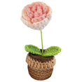 thumbnail image 2 of GROWTH TANK Handmade Crochet Flowers Car Dashboard Decorations Mini Crochet Potted Plant for Gradient Pink Rose, 2 of 9
