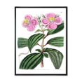 thumbnail image 1 of Designart Vintage Plant Life XXIII FLOAT FRAME WALL ART, 1 of 4