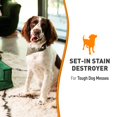 thumbnail image 3 of Nature's Miracle Dog Oxy Set-in Stain Destoyer, 3 of 5