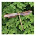thumbnail image 4 of Ancient Graffiti Flamed Copper Staked Dragonfly, 4 of 4