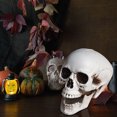 thumbnail image 4 of EGNMCR Halloween Decorations, Halloween Skeletons Plastic Realistic Fake Simulation Human Skull HeadBone Model Halloween Prop Realistic Mini Skeleton Spooky Halloween Decoration A Skeleton, 4 of 5