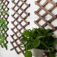 thumbnail image 4 of Expandable Garden Trellis Plant Support Willow Fence Panel for Climbing Plants, 4 of 7