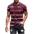 thumbnail image 1 of HKEJIAOI Chemise pour Homme Noir Blanc Décontractée en Spandex Rayée T-Shirts à Col Rond Basique Chandail Rayé Homme, 1 of 5