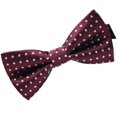 thumbnail image 2 of Cravate Formelle à Motif Coloré pour Homme, Nœud Papillon pour Adulte, Cravates Homme Homme, Réunion d'Affaires, Mariage, Nœud Papillon en Fil de Polyester, 2 of 7