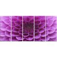 thumbnail image 2 of Grande Fleur et Pétales Violet Clair - Impression sur Toile Florale, 2 of 3