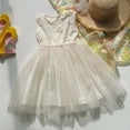 thumbnail image 1 of WEAIXIMIUNG Robes Fille Enfants Tout-Petits Filles Sans Manches Robe en Maille Brodée Danse Fête Princesse Robes Vêtements 120, 1 of 4