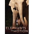 thumbnail image 1 of Éléphants en Mouvement, 1 of 1