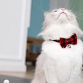 thumbnail image 1 of British Plaid Cats Bell Collar Two-layer Three-dimensional Bowknots Decor Size Adjustable Buckle Comfortable Beautiful Pets Neck Strap, 1 of 7
