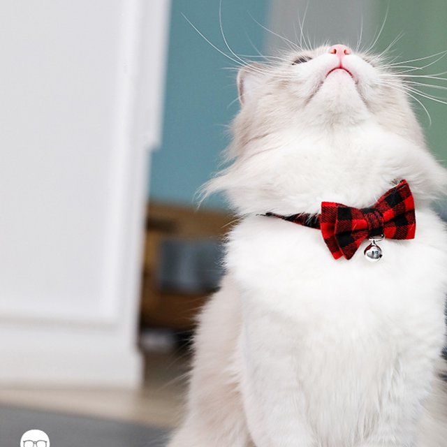British Plaid Cats Bell Collar Two-layer Three-dimensional Bowknots Decor Size Adjustable Buckle Comfortable Beautiful Pets Neck Strap