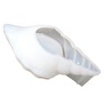 thumbnail image 4 of Conch Silicone Mold Fashion Epoxy Mold Casting Mold for DIY Beauty Sponge Holder, 4 of 10