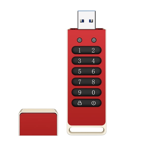 Riwcyla Encrypted USB Drive Secure USB Flash Drive 256GB AES256,bit USB 3.0 Hardware Password Memory Stick Automatic Lock for Protection Aluminum Alloy Shell with Encryption Keypad