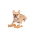 thumbnail image 3 of One Paw, 2 Pack Bamboo Fiber Chew Dog Toys, Medium, Bamboo and Nylon, 3 of 3