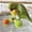 D, variante sur Jouets pour Animaux, Cage Moulin à Vent Rotative pour Perroquet, Jouet Interactif pour le Mouvement et l'Ennui dans les Enclos Intérieurs pour Oiseaux, 6 Styles