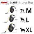 thumbnail image 3 of Flexi Giant Medium 8m Tape Retractable Dog Leash, 3 of 9