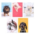 thumbnail image 2 of American Greetings 15-Count Blank Cards and Envelopes Assortment Box, Funny Dogs, 2 of 7
