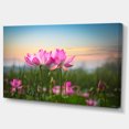 thumbnail image 3 of Design Art - Fleurs de Lotus en Fleurs au Coucher du Soleil, 3 of 3