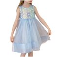 thumbnail image 3 of LOVZFMLL Girls' Summer Short Sleeve Ruffled Lace Round-Neck Embroidery Mesh Princess Bow Skirt, 3 of 6