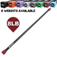 thumbnail image 2 of PRISP Weighted Exercise Workout Bar - Total Body Weight Bar for Home Gym, Fitness, Yoga and Strength Training, 2 of 7