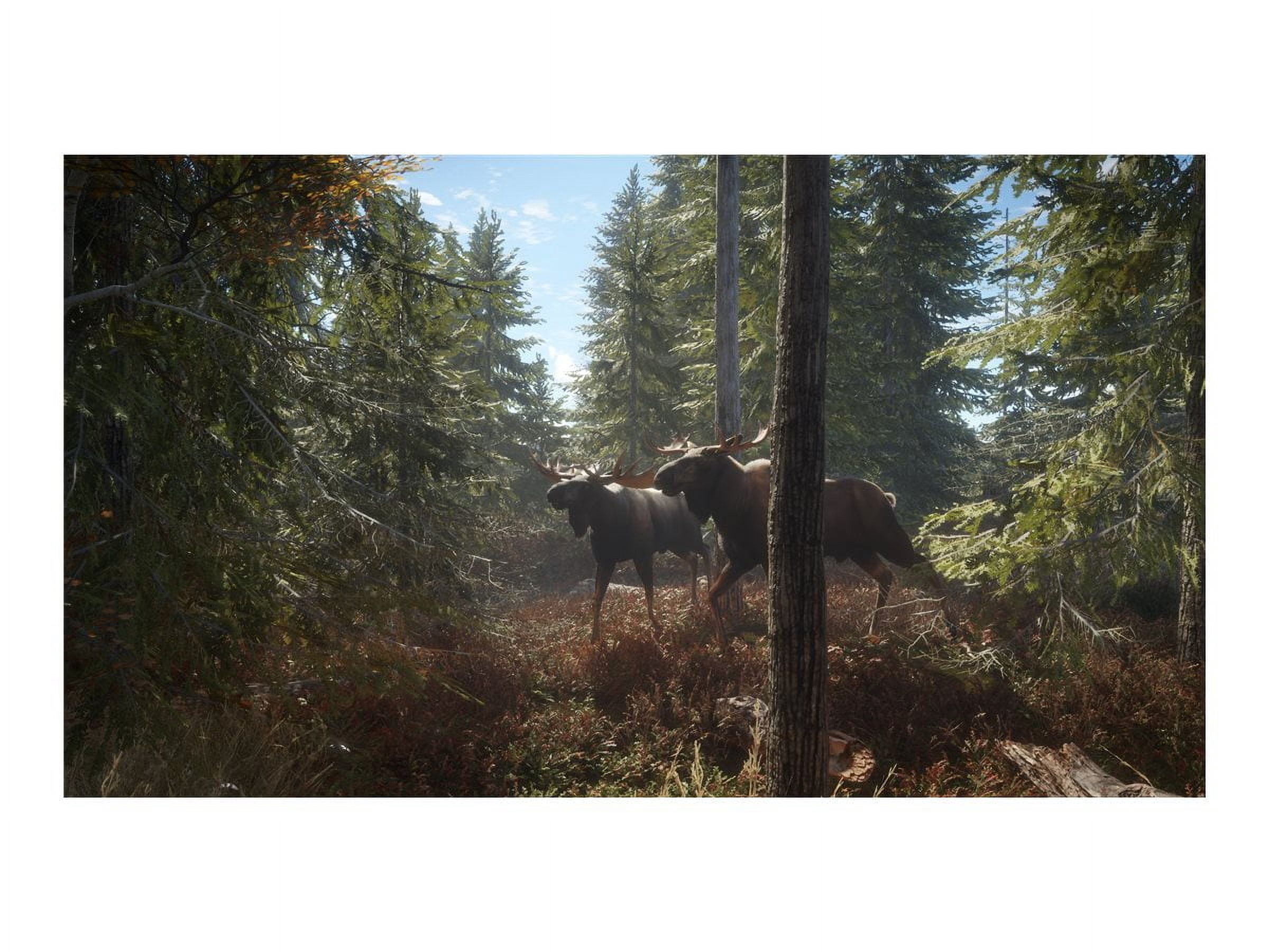 Jeu vidéo The Hunter Call of The Wild pour (PS4)