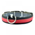 thumbnail image 3 of 2022 Dernière Sécurité LED Collier de Chien – USB Rechargeable avec Résistant à l'Eau Clignotant Lumière Orange, 3 of 6